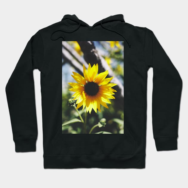 Vintage Style summer Sunflower Photo Hoodie by Designtigrate